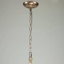 Подвесная люстра Favourite Sade 2690-6P