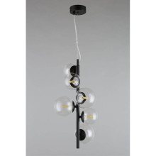 Подвесная люстра Aployt Feliche APL.334.06.06