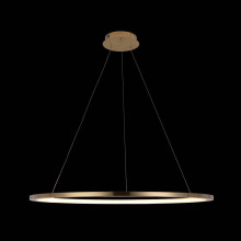 Подвесной светодиодный светильник Loft IT Ring 10014XL
