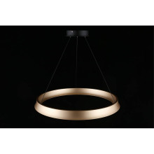 Подвесной светодиодный светильник Aployt Justyna APL.787.03.50