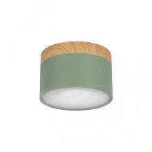 Накладной светодиодный светильник Loft IT Grape 10162 Green