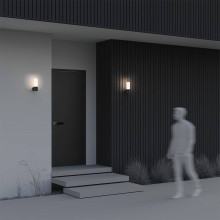 Настенный светильник Maytoni Outdoor O418WL-01B