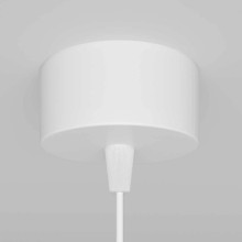 Подвесной светильник Maytoni Technical Focus P075PL-01W