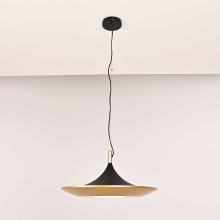 Подвесной светодиодный светильник Imperium Loft Rask 151756-26