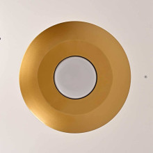 Подвесной светодиодный светильник Imperium Loft Rask 151756-26