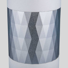 Потолочный светильник Elektrostandard Mizar DLN110 GU10 белый/серебро a047744