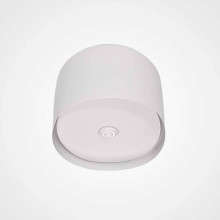 Потолочный светильник Imperium Loft Cylinder 101495-26