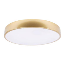 Потолочный светодиодный светильник Loft IT Flims 10228/A