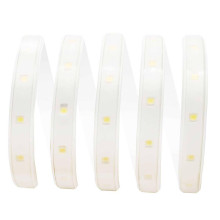 Светодиодная лента Apeyron 6Вт/м smd2835 60д/м 17-42