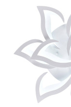 Потолочная светодиодная люстра Natali Kovaltseva Led Lamps 81224