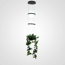 Подвесной светильник Imperium Loft Palma 168491-22