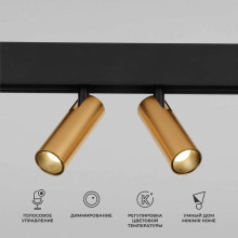 Трековый светодиодный светильник Elektrostandard Slim Magnetic Dim Dual 85056/01 латунь a063527