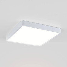 Потолочный светодиодный светильник Elektrostandard DLS034 24W 4200K a043018