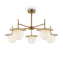 Потолочная люстра Freya Camelia FR5202PL-05BS