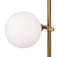 Подвесная люстра Freya Blossom FR5259PL-02BS