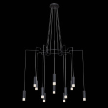 Подвесная люстра Maytoni Davida MOD035PL-12B