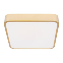 Потолочный светодиодный светильник Loft IT Flims 10228/C