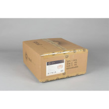 Бра Aployt Rochell APL.850.01.03