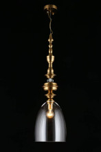 Подвесной светильник Aployt Rena APL.602.16.01