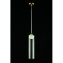 Подвесной светильник Aployt Arian APL.325.36.01