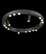 Потолочный светильник Vele Luce Satellite VL7172L12