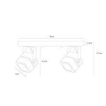 Потолочный светильник Arte Lamp A1315PL-2BK