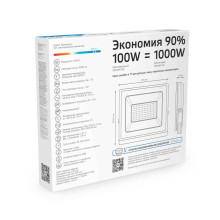 Прожектор светодиодный Gauss 100W 613100100