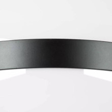 Настенно-потолочный светильник Lightstar Globo 812117