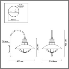 Уличный настенный светильник Odeon Light Nature Dante 4164/1WA