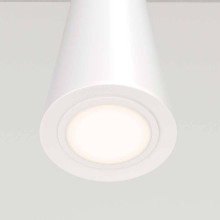 Подвесной светильник Maytoni Nevill P318-PL-01-W