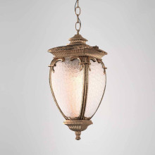 Уличный подвесной светильник Elektrostandard Andromeda H (GLYF-8024H) a027997