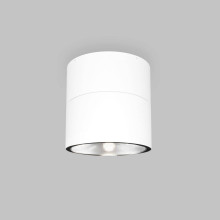 Уличный светодиодный светильник Maytoni Spin O310CL-L12W3K