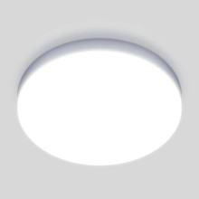 Потолочный светодиодный светильник Elektrostandard DLR043 10W 4200K a047940