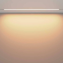 Трековый светодиодный светильник Maytoni Technical Exility Basis TR030-2-30W3K-W