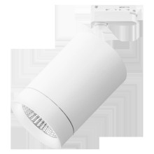 Трековый светодиодный светильник Lightstar Canno Led 303262