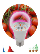 Лампа светодиодная для растений ЭРА E27 10W 1310K прозрачная Fito-10W-RB-E27 Б0050600