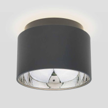 Потолочный светильник Elektrostandard Charlie 1069 GX53 GR графит a053057