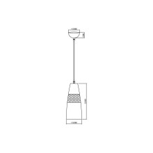Подвесной светильник Vele Luce Lucky VL5393P21