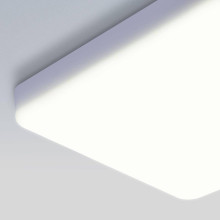 Потолочный светодиодный светильник Elektrostandard DLS043 10W 4200K a047941